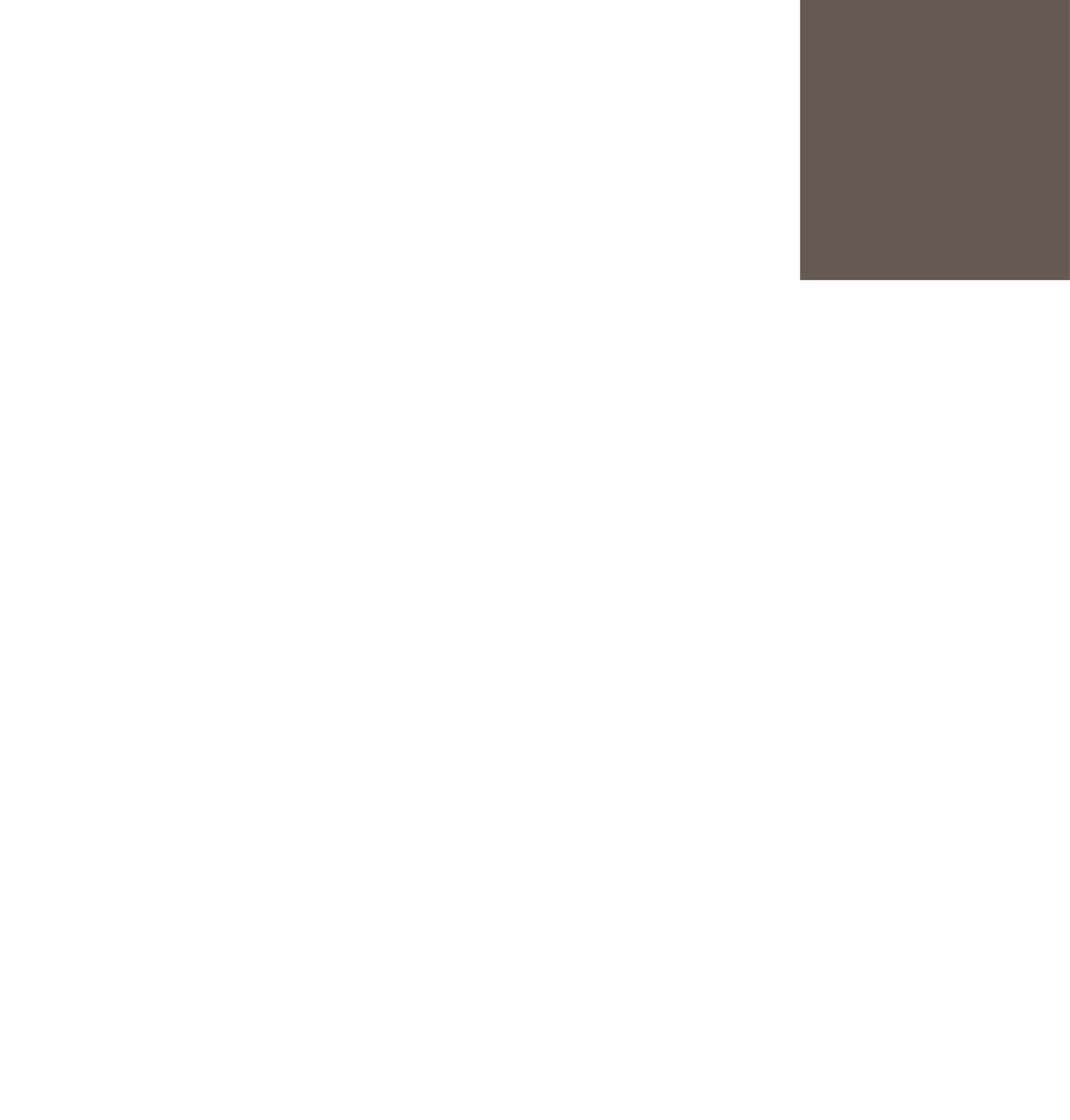 Novera Logo